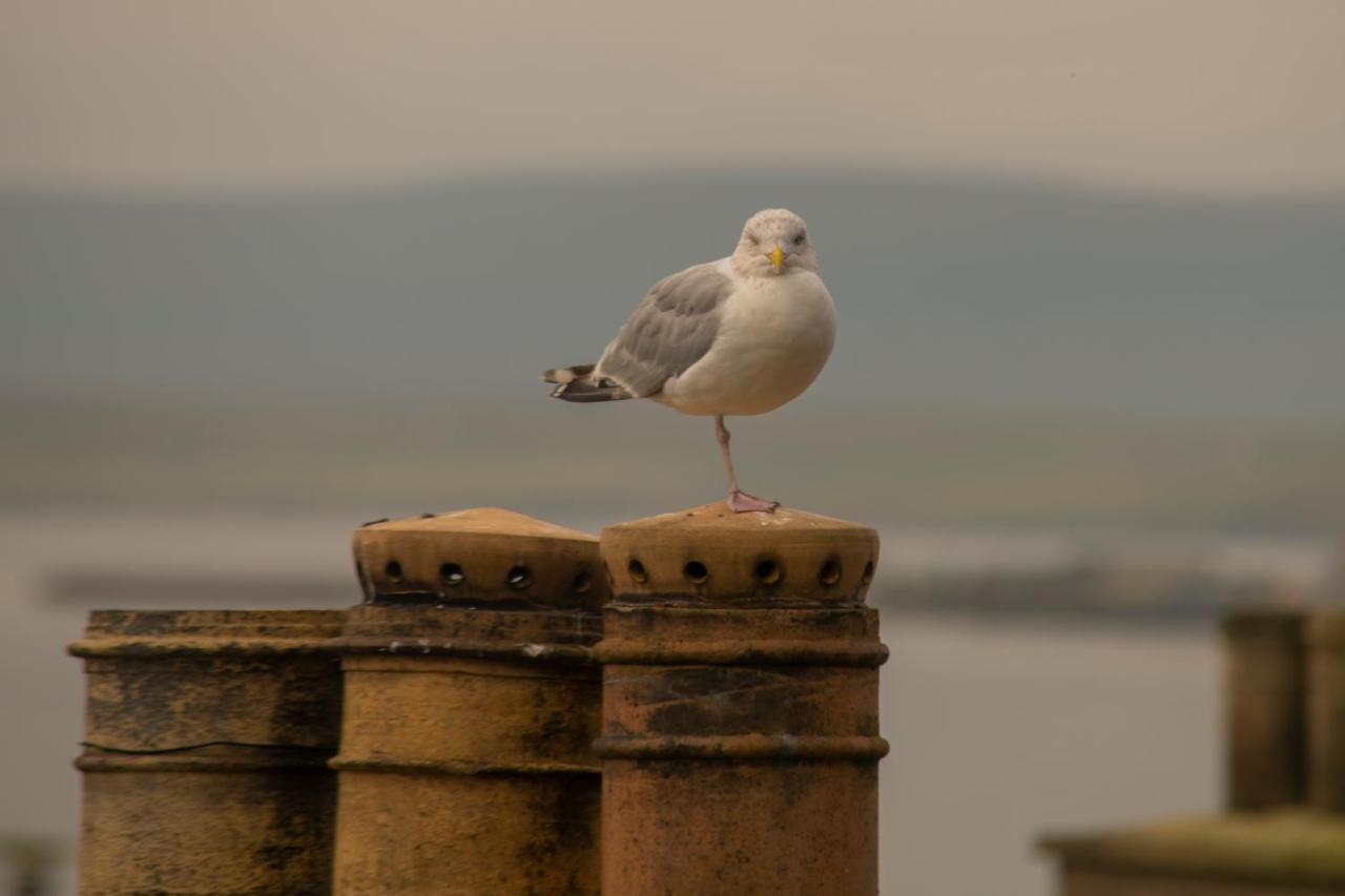 The Stromness Hotel Exterior foto